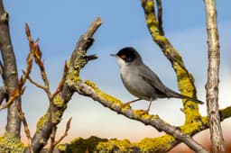 616011255.jpeg