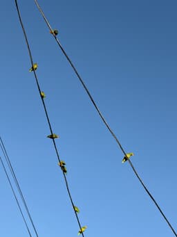 IMG_6745.jpeg
