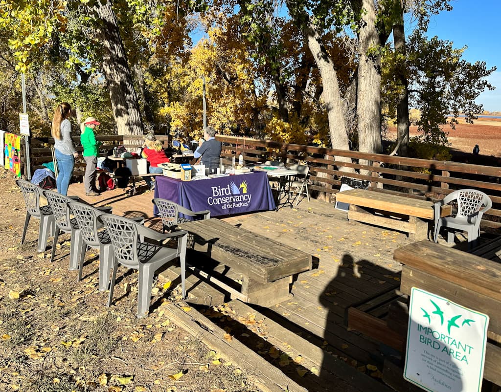 bird banding station in denver