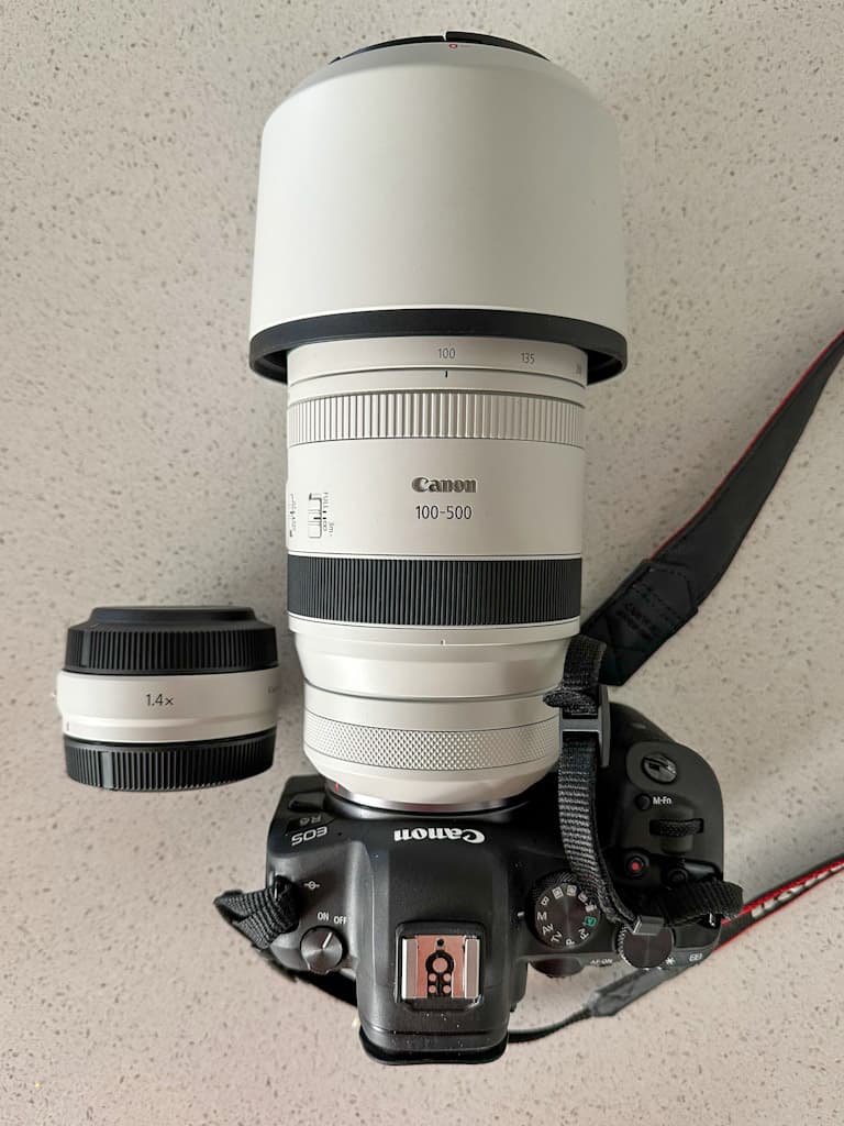 canon RF 100-500mm