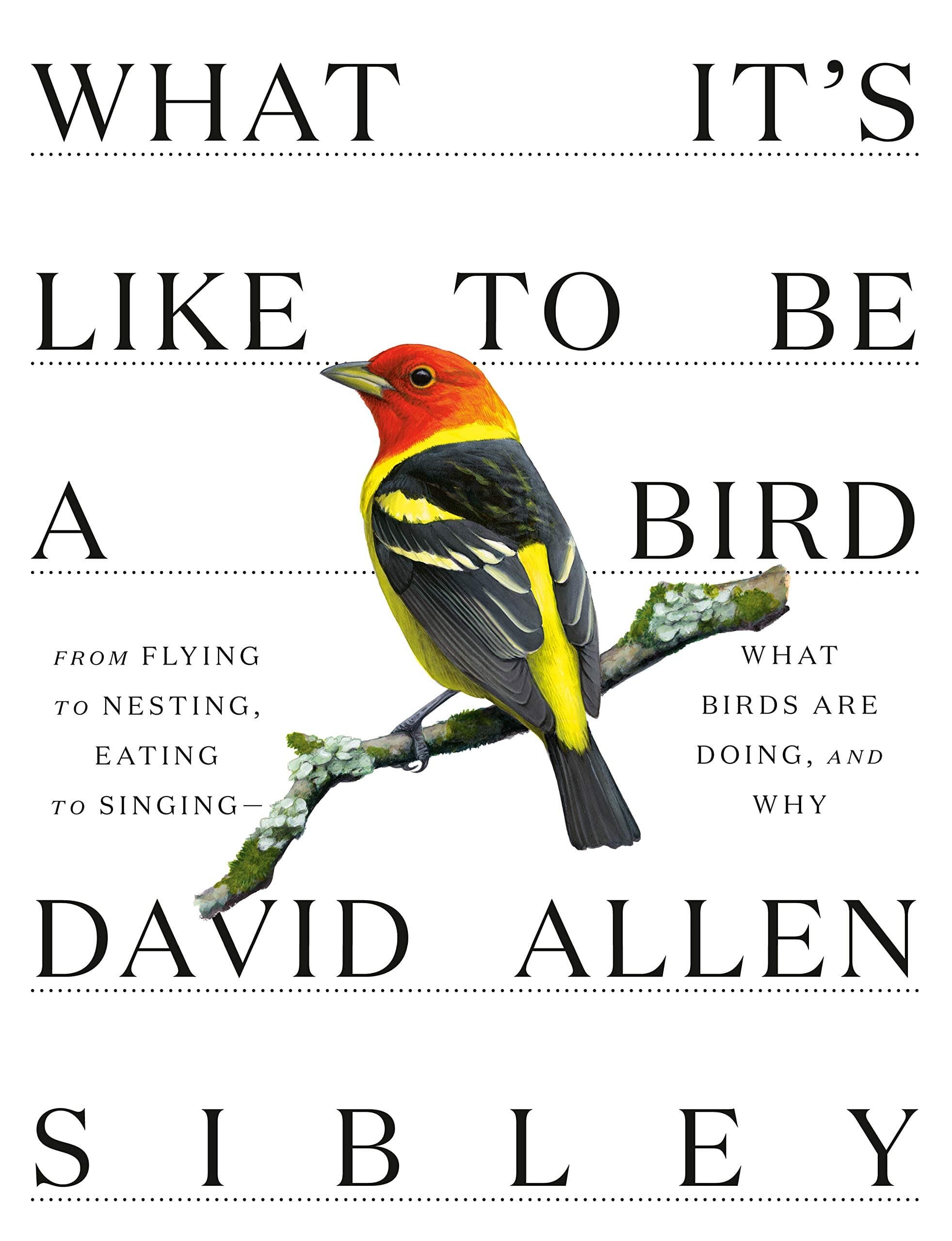 What it’s Like to Be a Bird