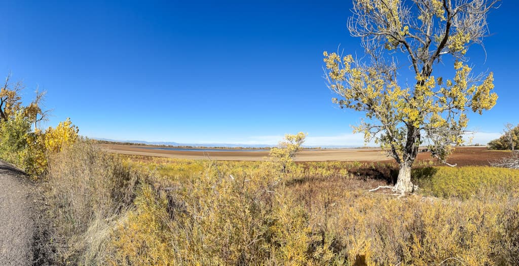 A visit to Rocky Mountain Arsenal National Wildlife Refuge in Colorado