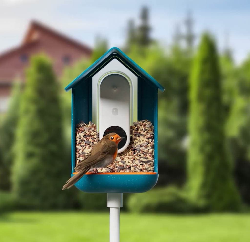 REVIEW: New smart bird feeder with a camera and sleek app | Bird Buddy