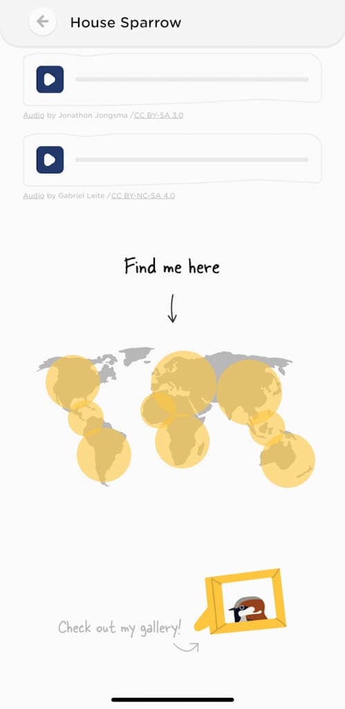 Range map and cute illustration of the House Sparrow