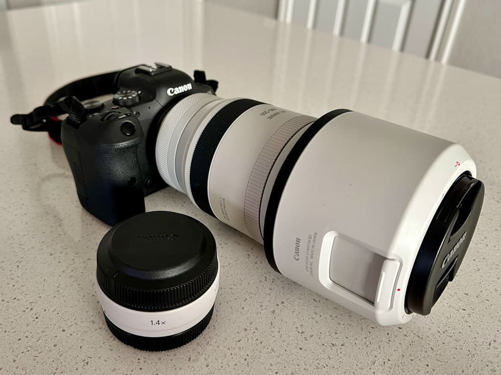 My Gear Setup for Bird Photography