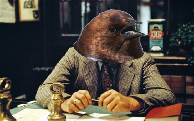 Bird Mafia – "Raise our kids, or else!"