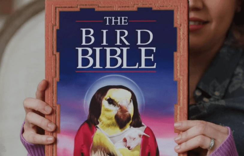 Bird Bible