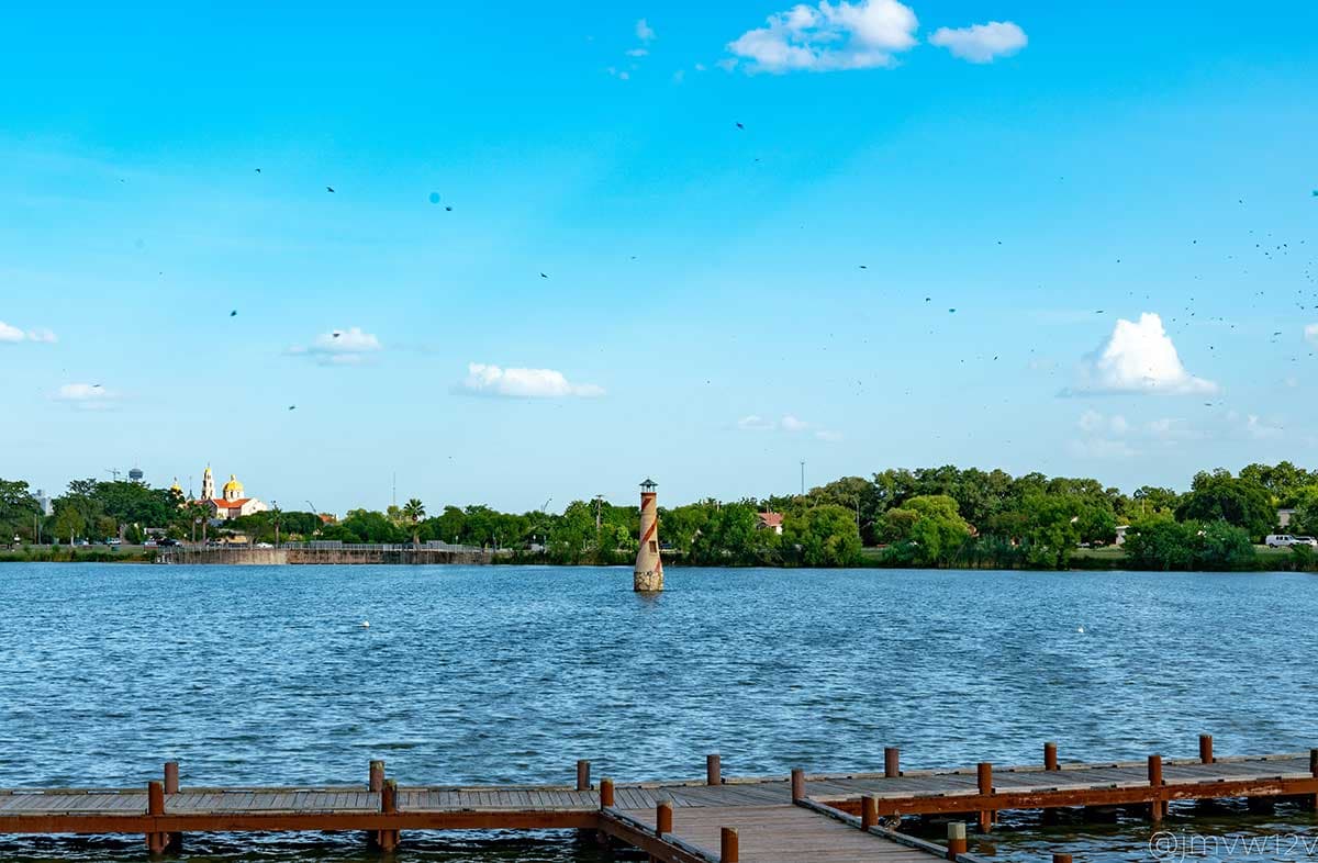 Counting birds during lunch at Woodlawn Lake