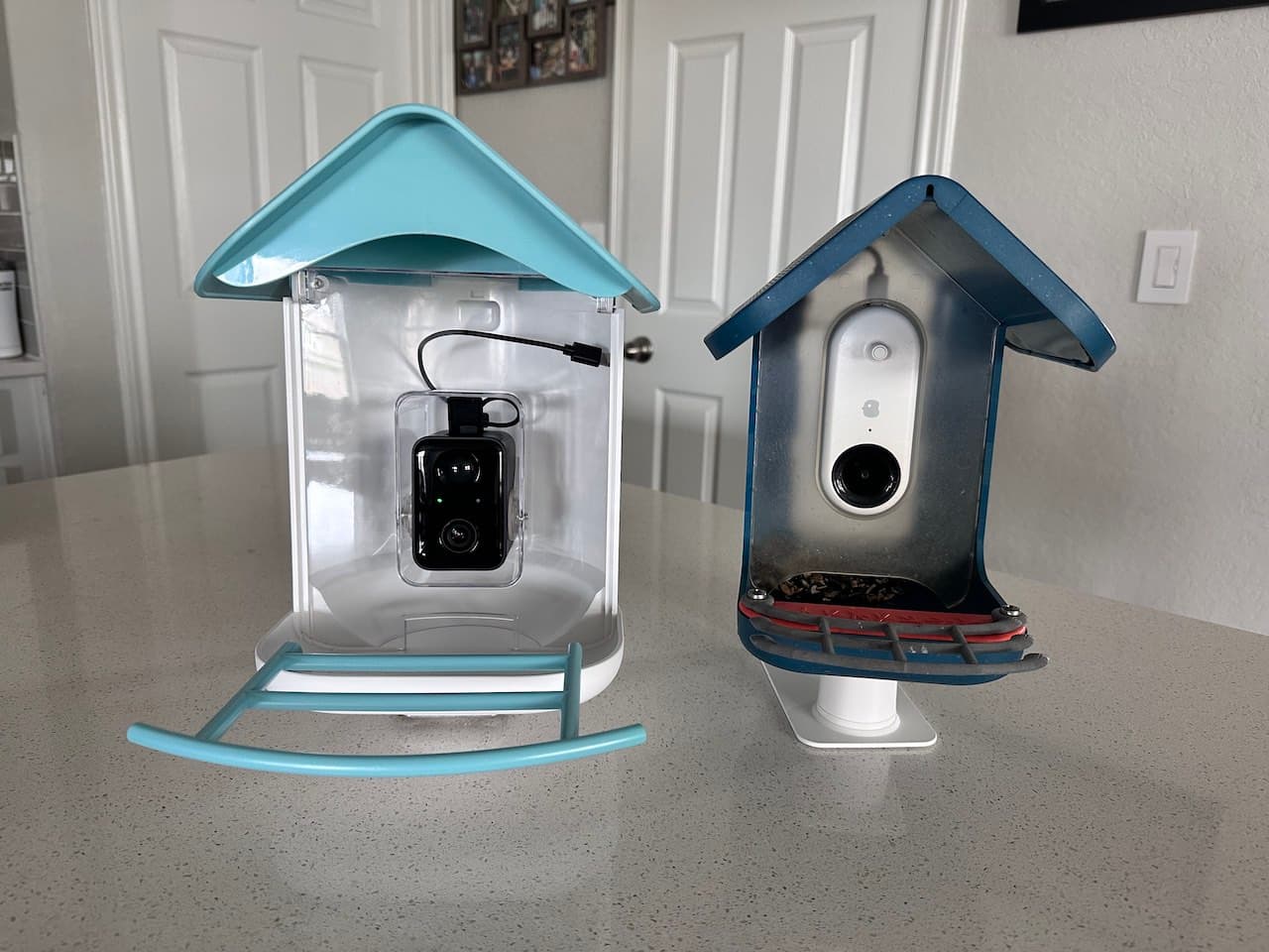 Smart Feeder Showdown: A Comparison of AUXCO and Bird Buddy
