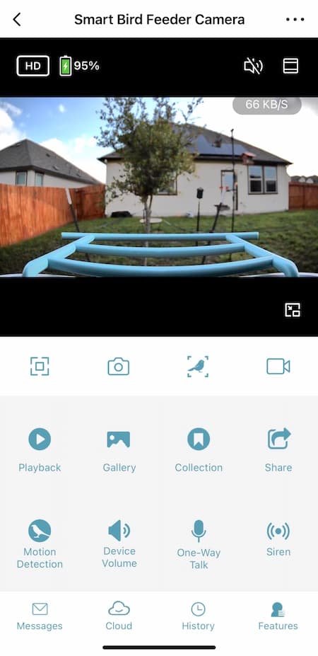 auxco video feed of birdfeeder
