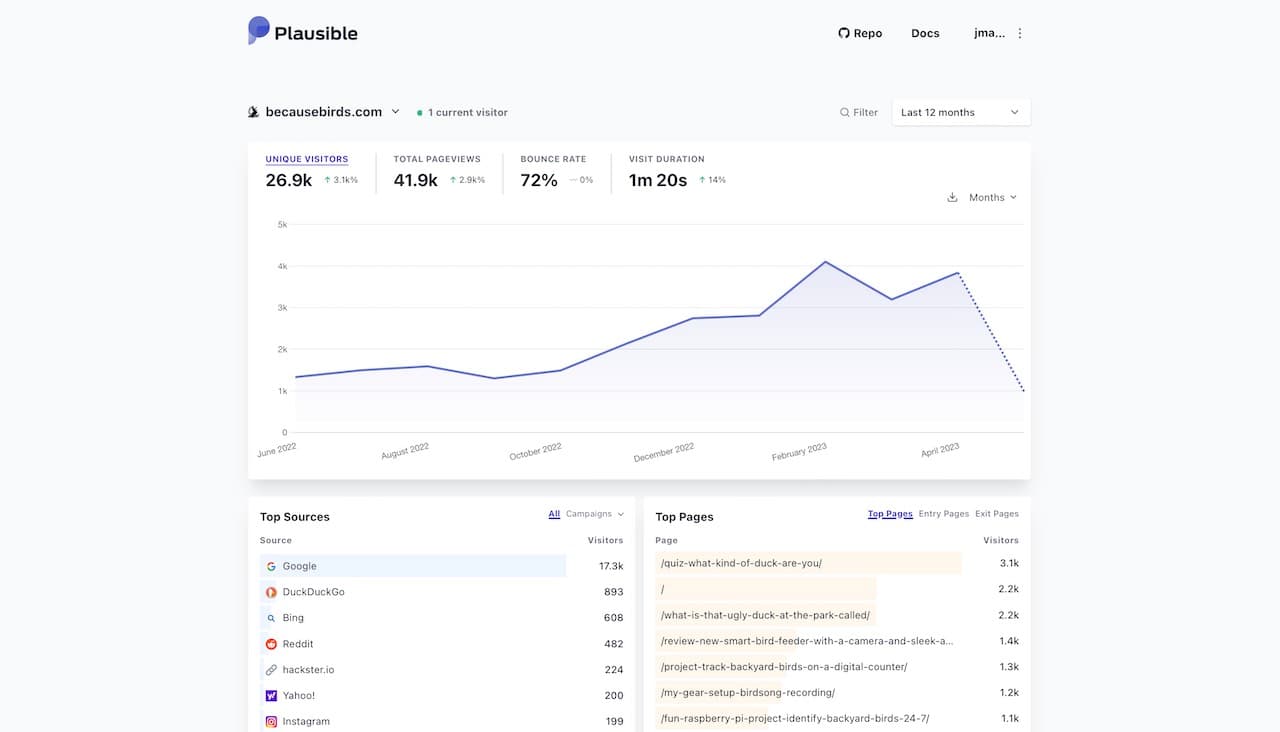 because birds website analytics dashboard