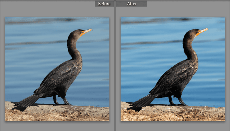 beforeafter
