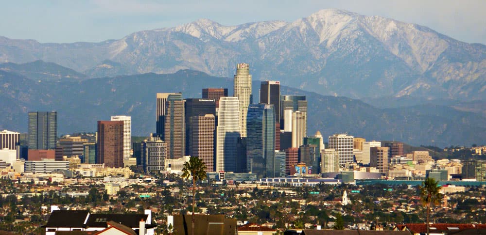 Bird Day LA