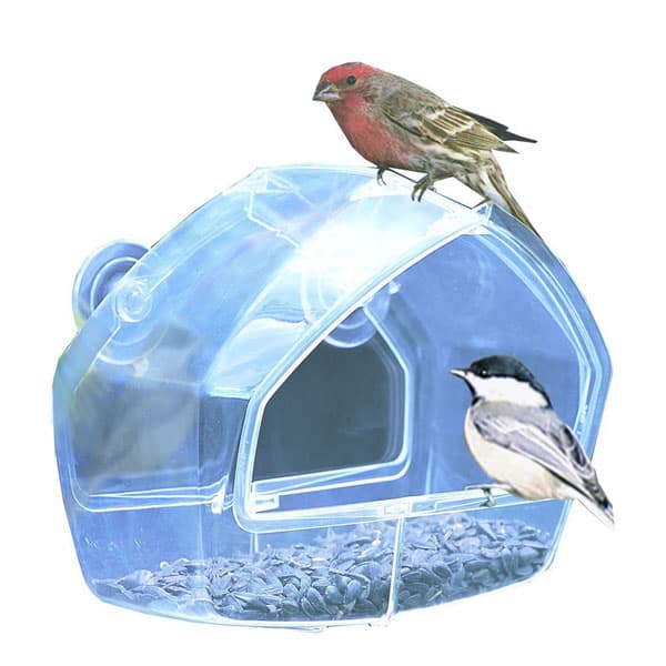 Clear Window Bird Feeder