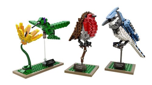 LEGO Birds Model Kit