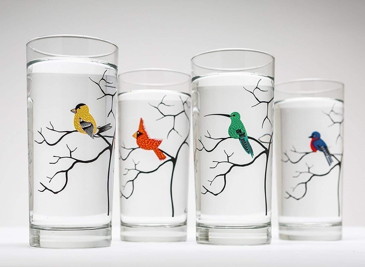 Bird Lover Glassware Gift Set of 4 Highball Glasses