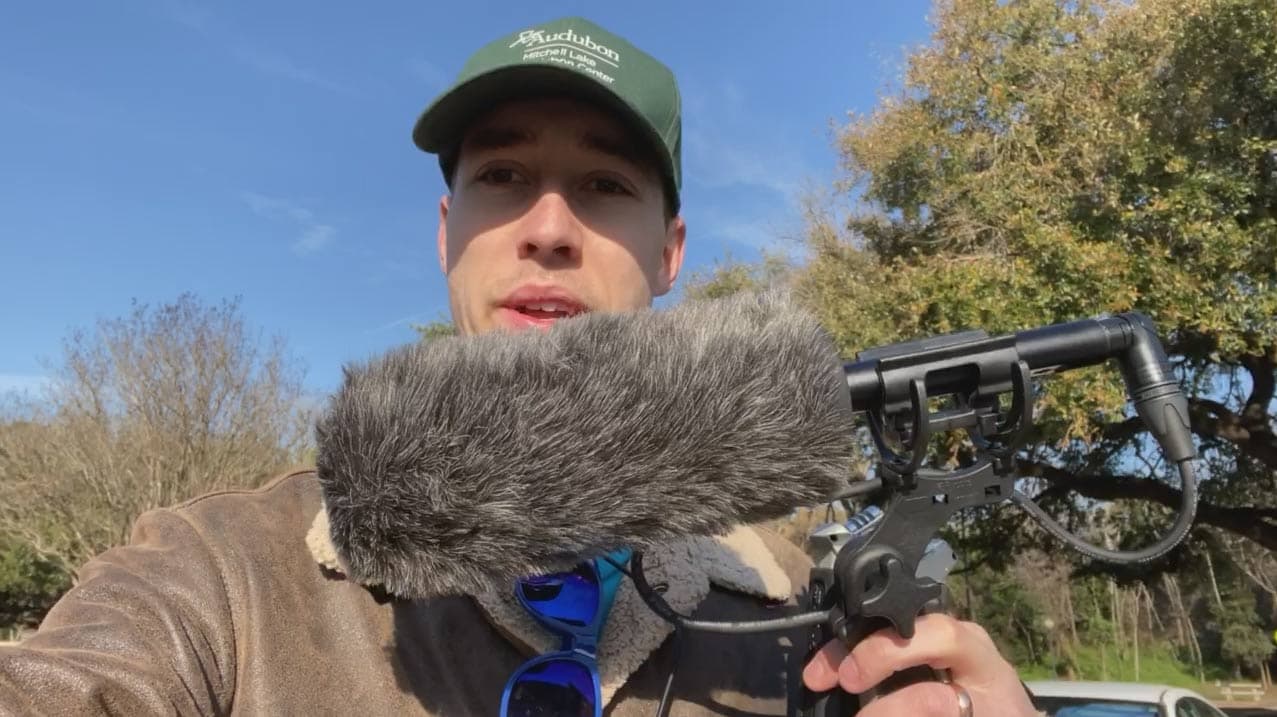 My first time recording birds with a shotgun microphone