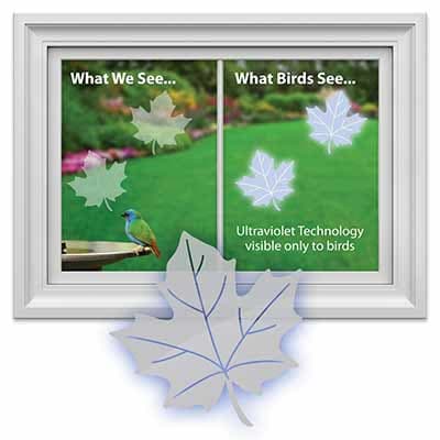 Bird Safety Window Decal Clings