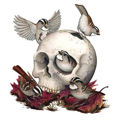 Birds in Skull Print
