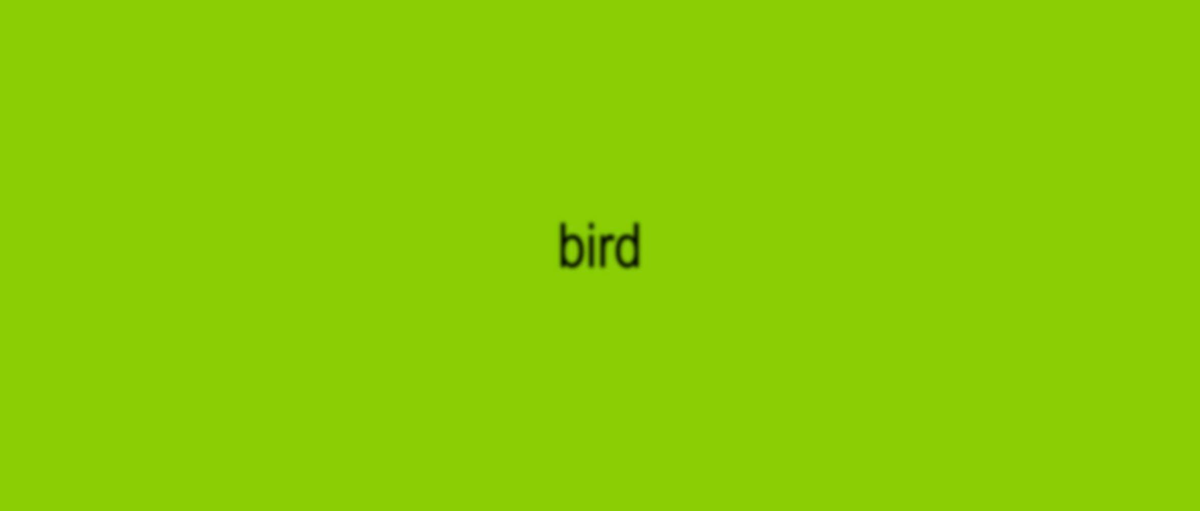 poll: which bird is the most brat?