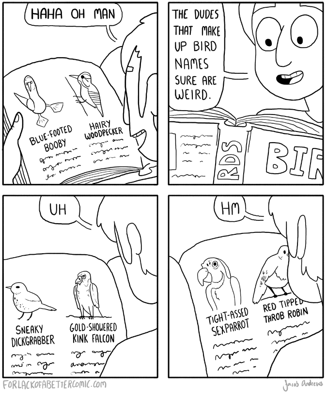 About those bird names...