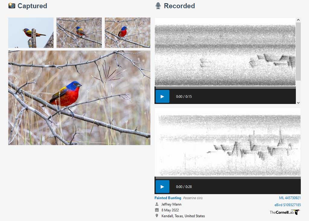 A place where I can include my photos and recordings