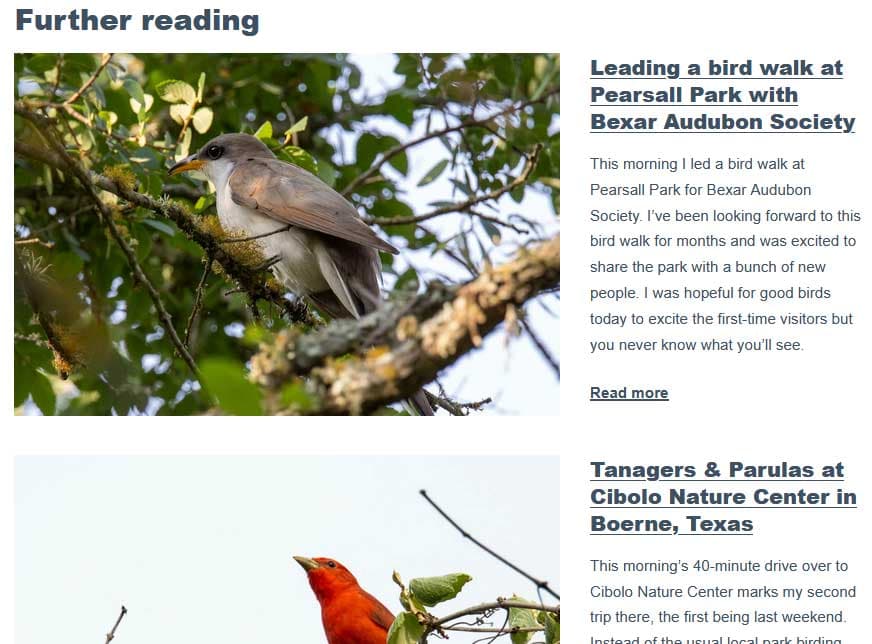 A feed of posts that mention the species.