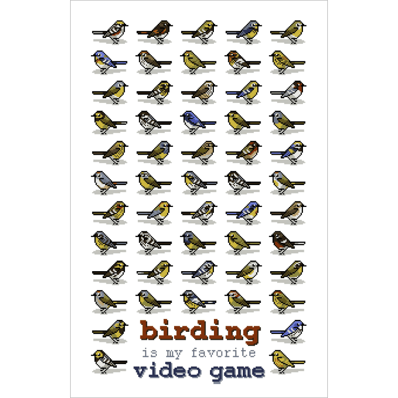 Birding is My Favorite Video Game Poster