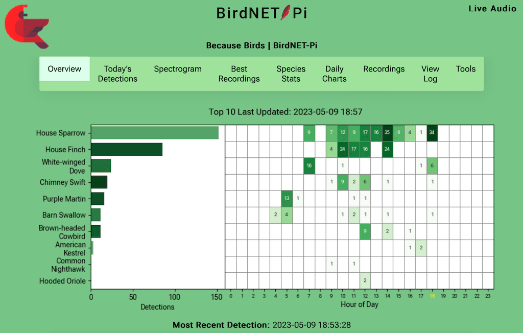The summary of the daily top ten species along with an hourly heat map in birdnet-pi