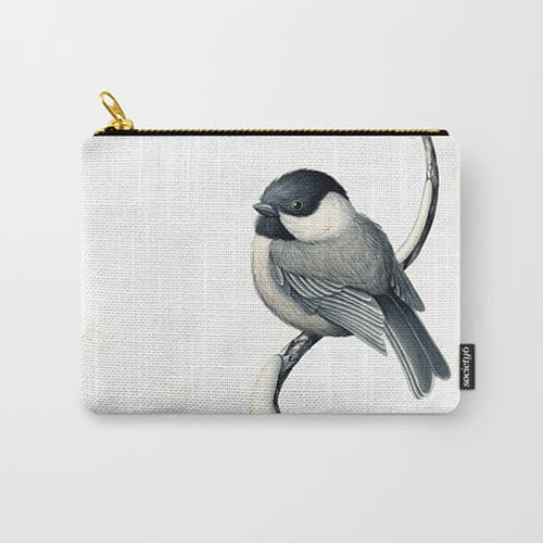 Black-capped Chickadee Clutch