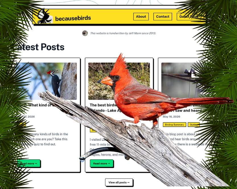 I migrated my 13-year WordPress blog to Payload CMS