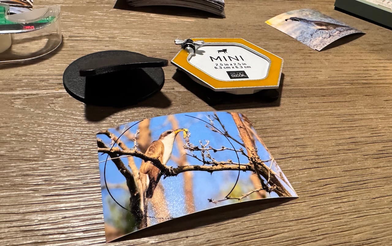 Isn’t that frame cute? Perfect for a bird with a snack.