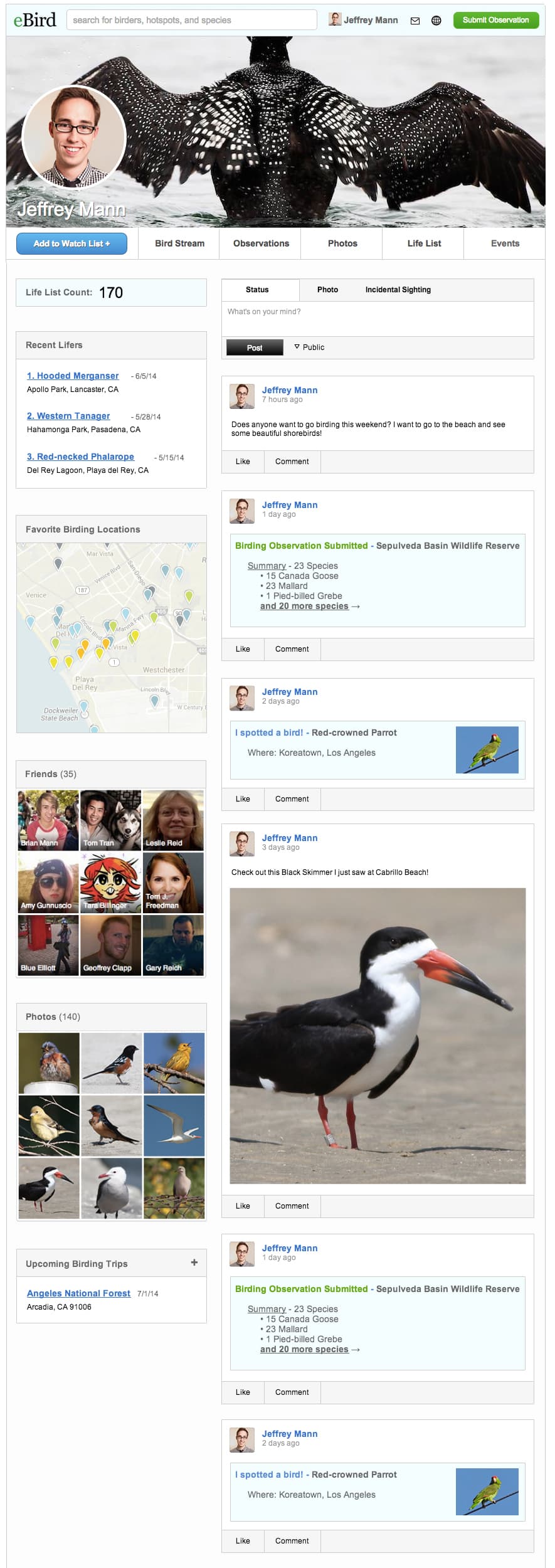 ebird social profile mockup