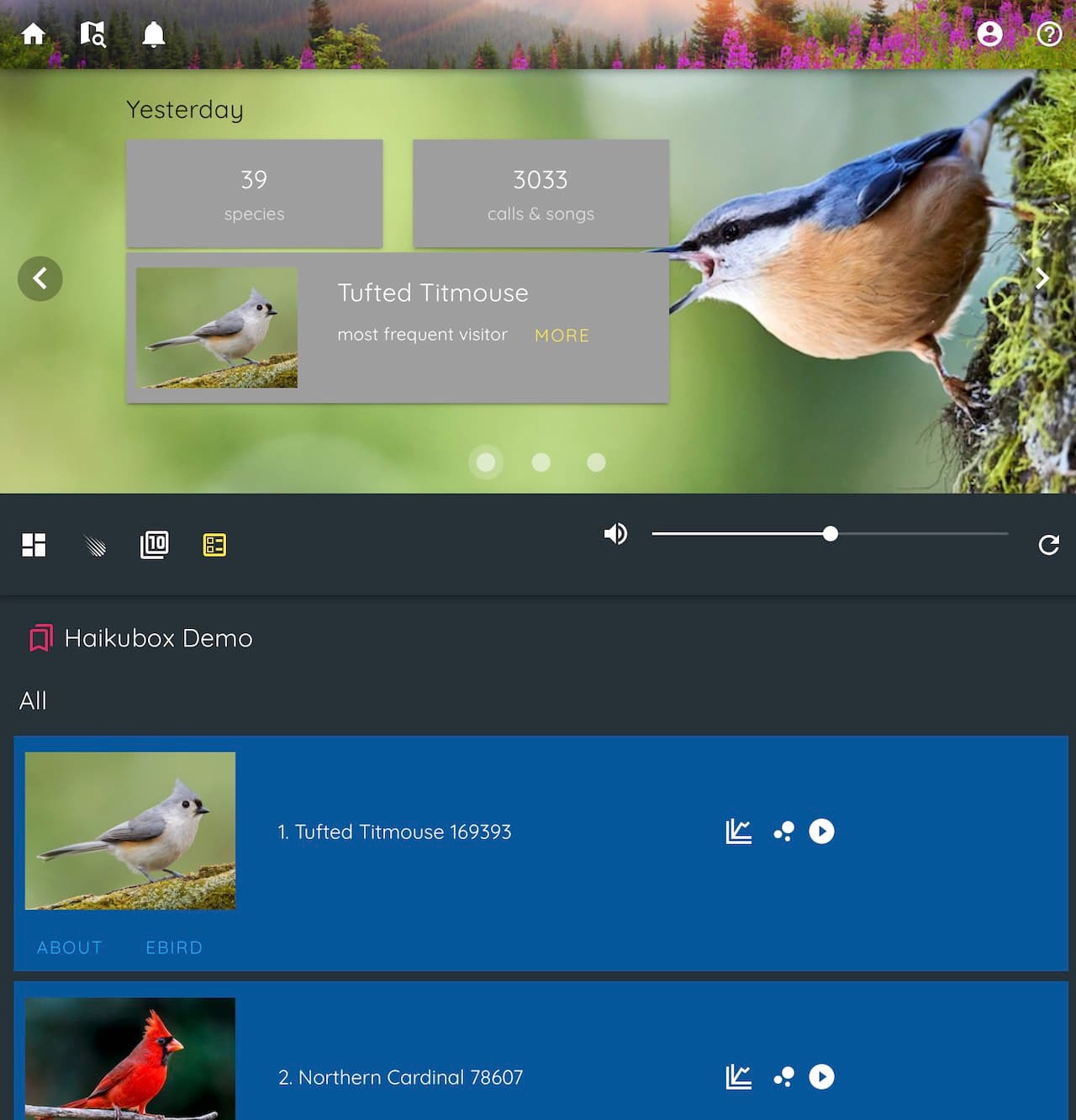 Haikubox UI. A summary of the previous day is at the top, followed by the top birds. I would love it if there was a view of the current day as well.
