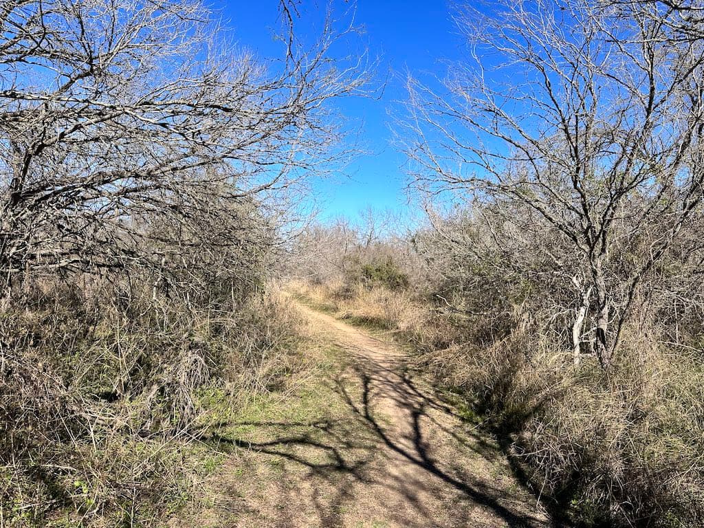 The Hawk Alley trail at Choke Canyon