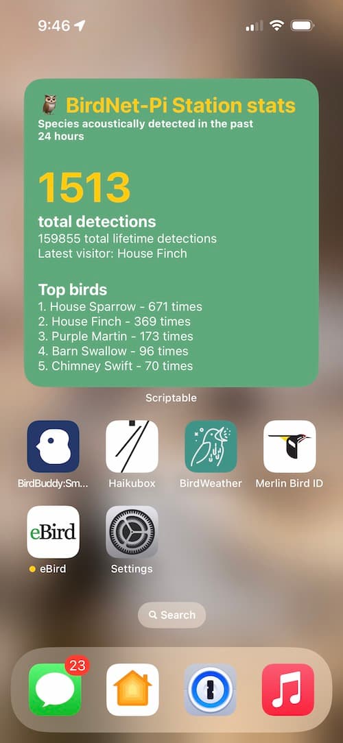 The BirdWeather widget on my home screen