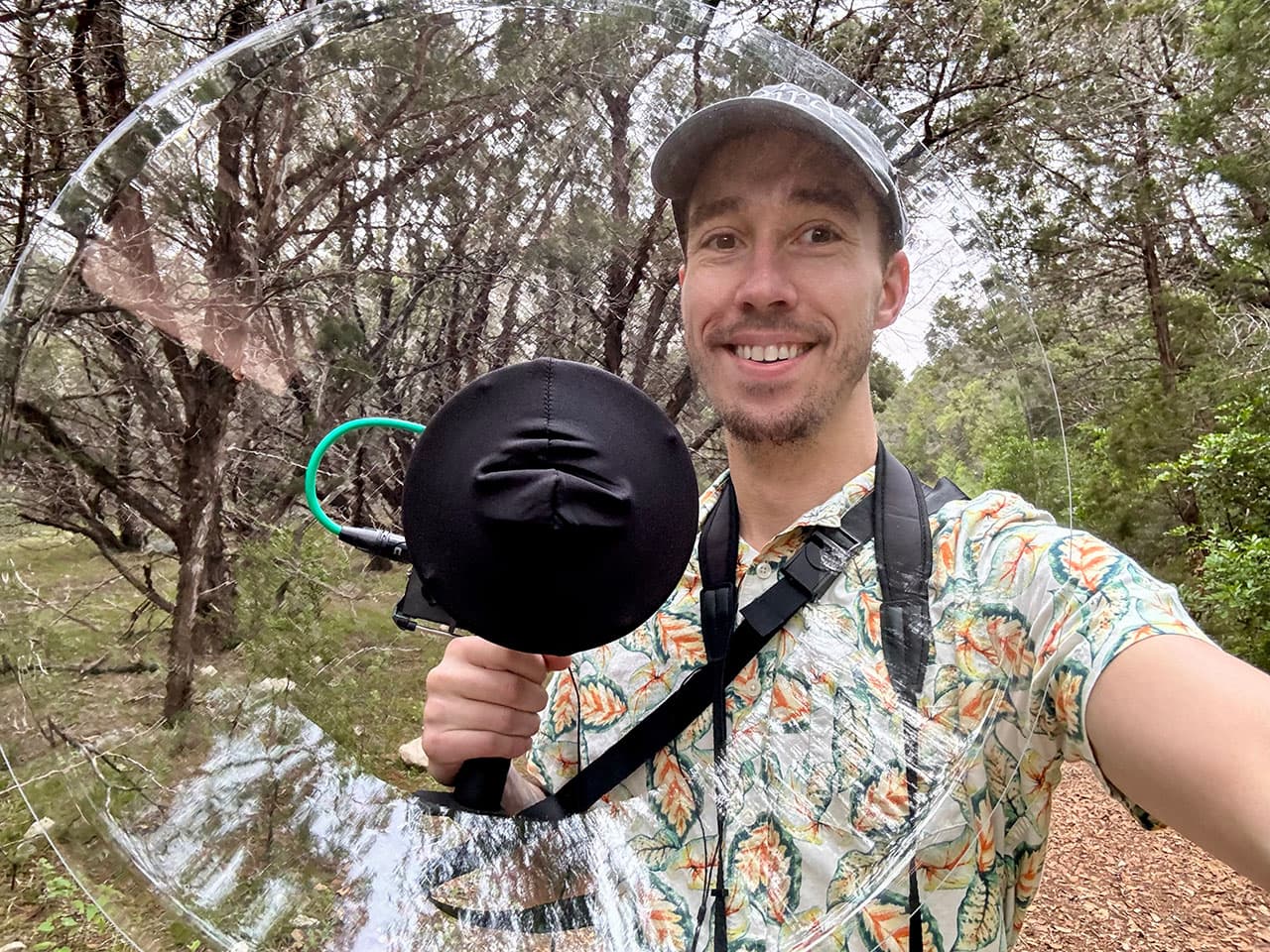 Louder, closer, clearer: Recording birds with a parabolic microphone