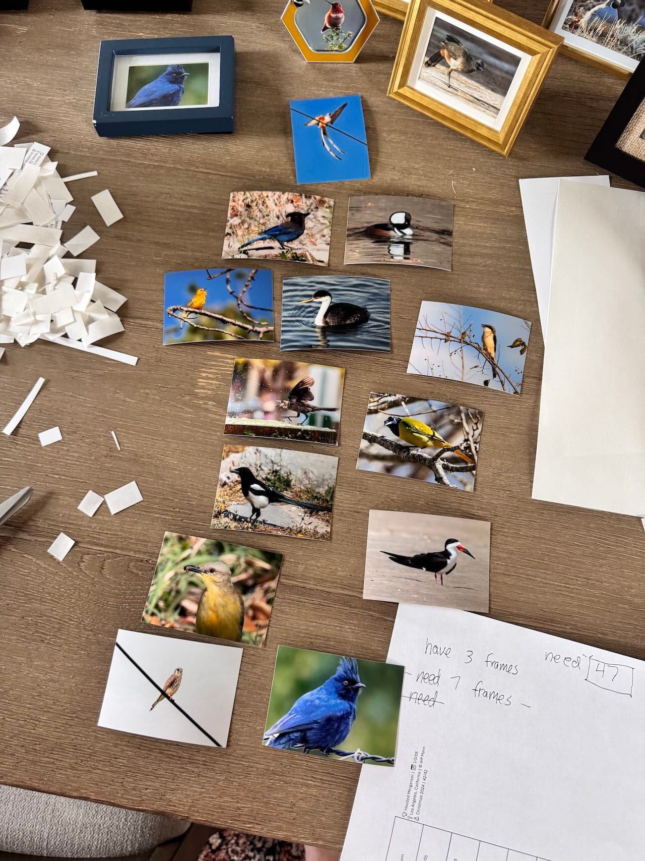 A handful of tiny bird photos about to be put into various frames