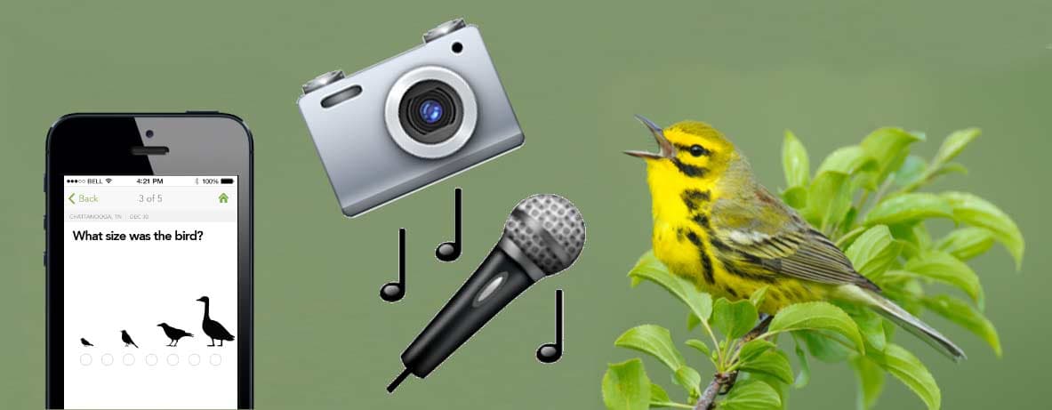 New eBird Update Brings Photos and Audio to Checklists