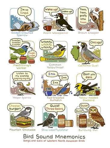 Mnemonic Bird Sounds Poster Western North America