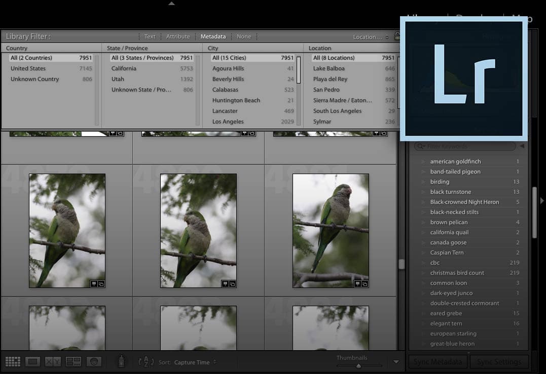 Organizing bird photos guide