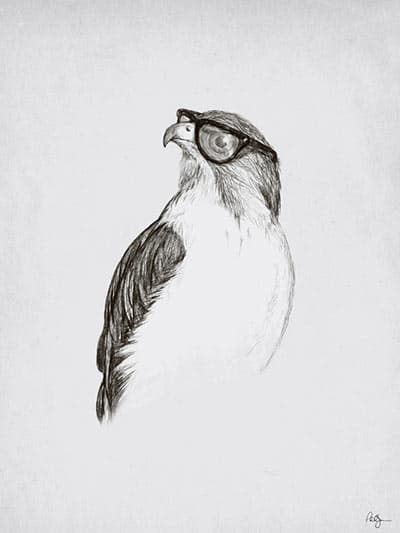 Hawk with Glasses