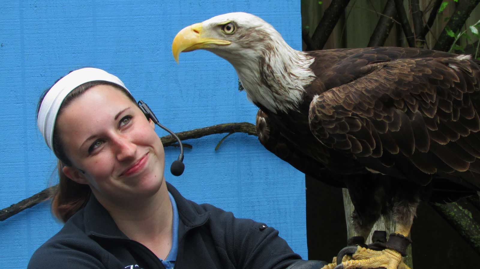 proud trainer holding eagle