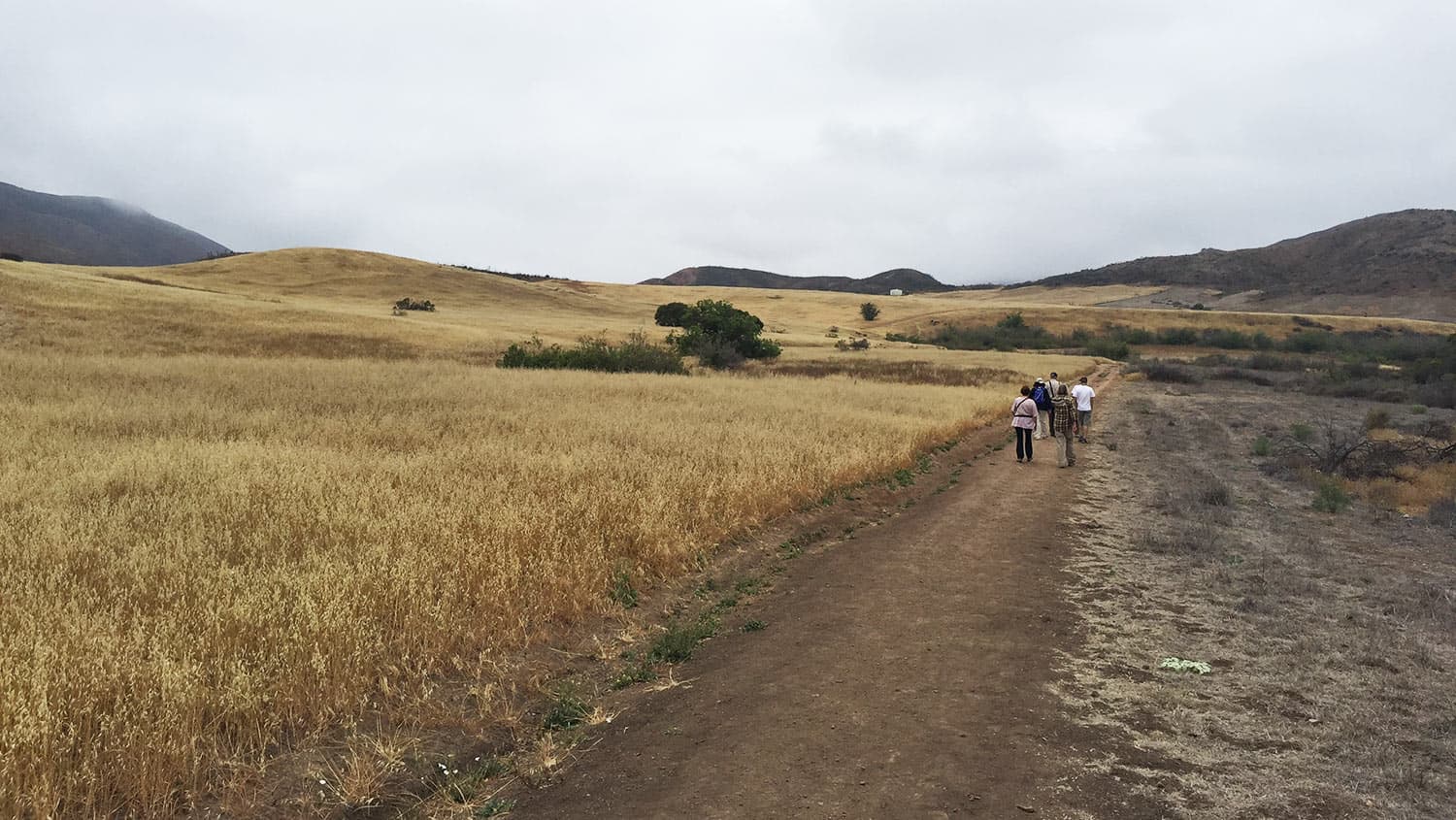 Birding at Rancho Sierra Vista