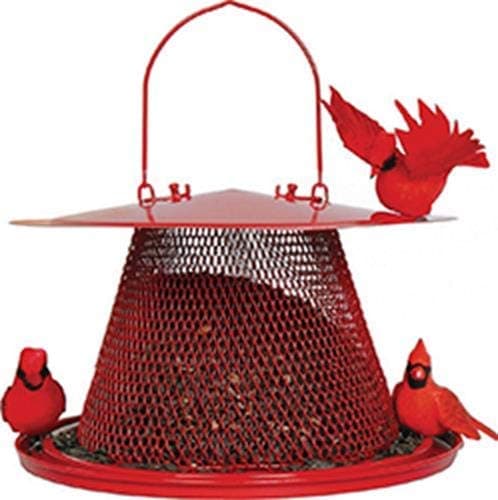 Red Cardinal Bird Feeder