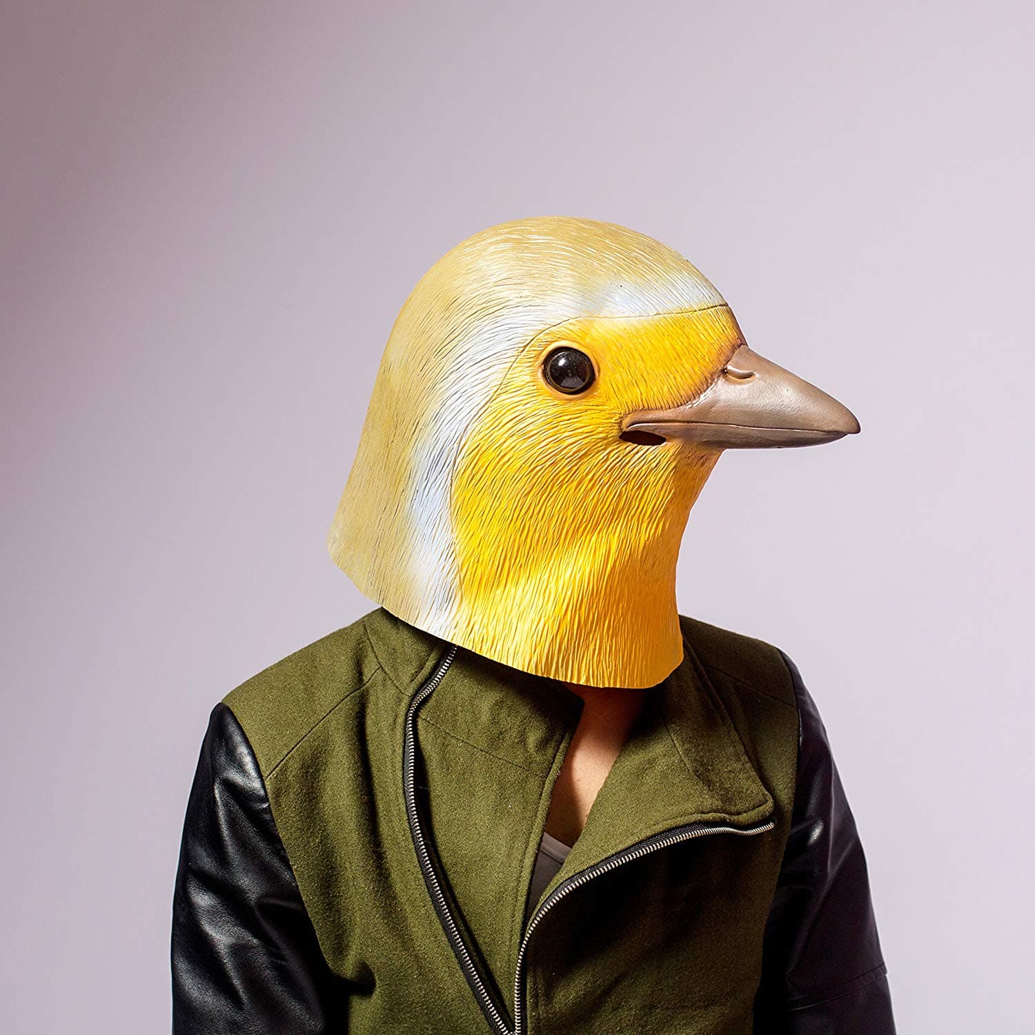 Robin Party Mask