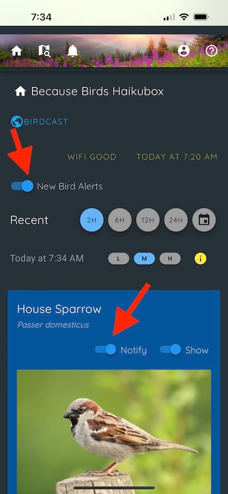 haikubox app turn on notifications