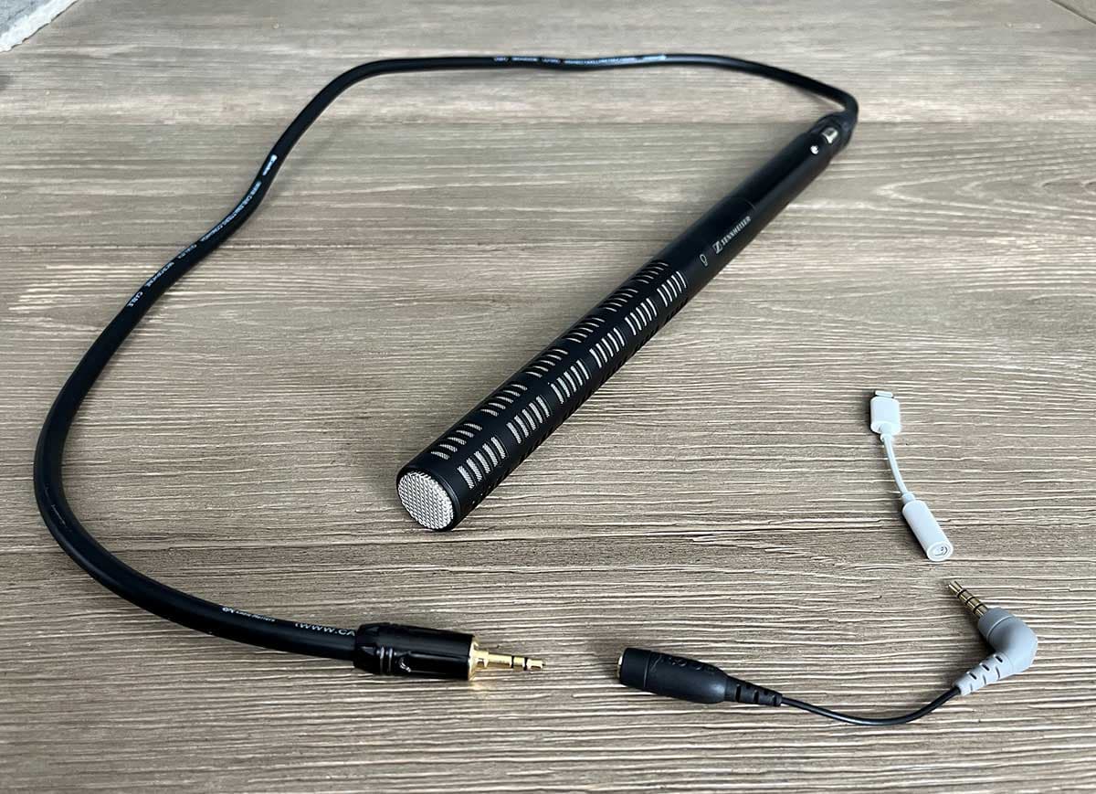 Using a shotgun mic with an iPhone to record birds