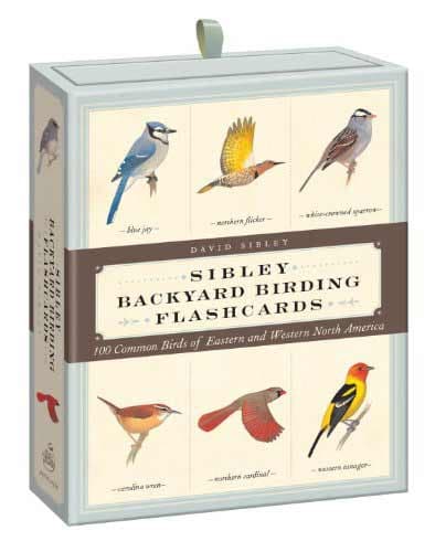 Sibley Bird Flashcards