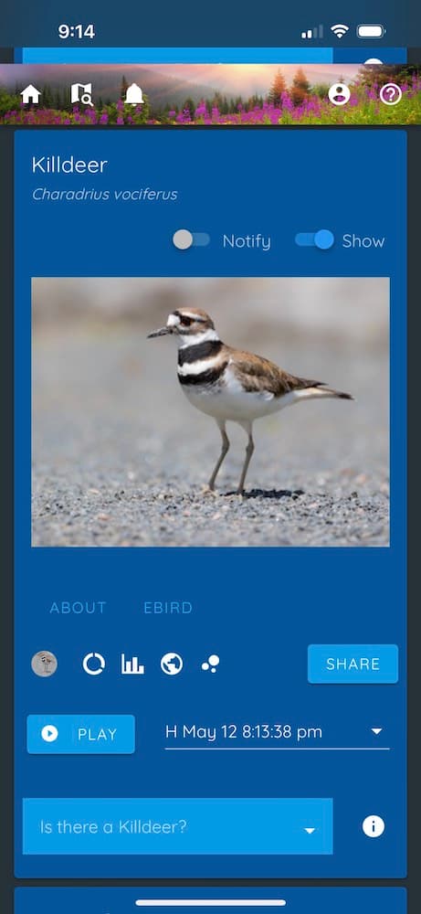 Links to listen and learn about each bird in haikubox app